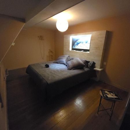 Domaine Des Bruns Bed & Breakfast Châtillon-Coligny Екстериор снимка