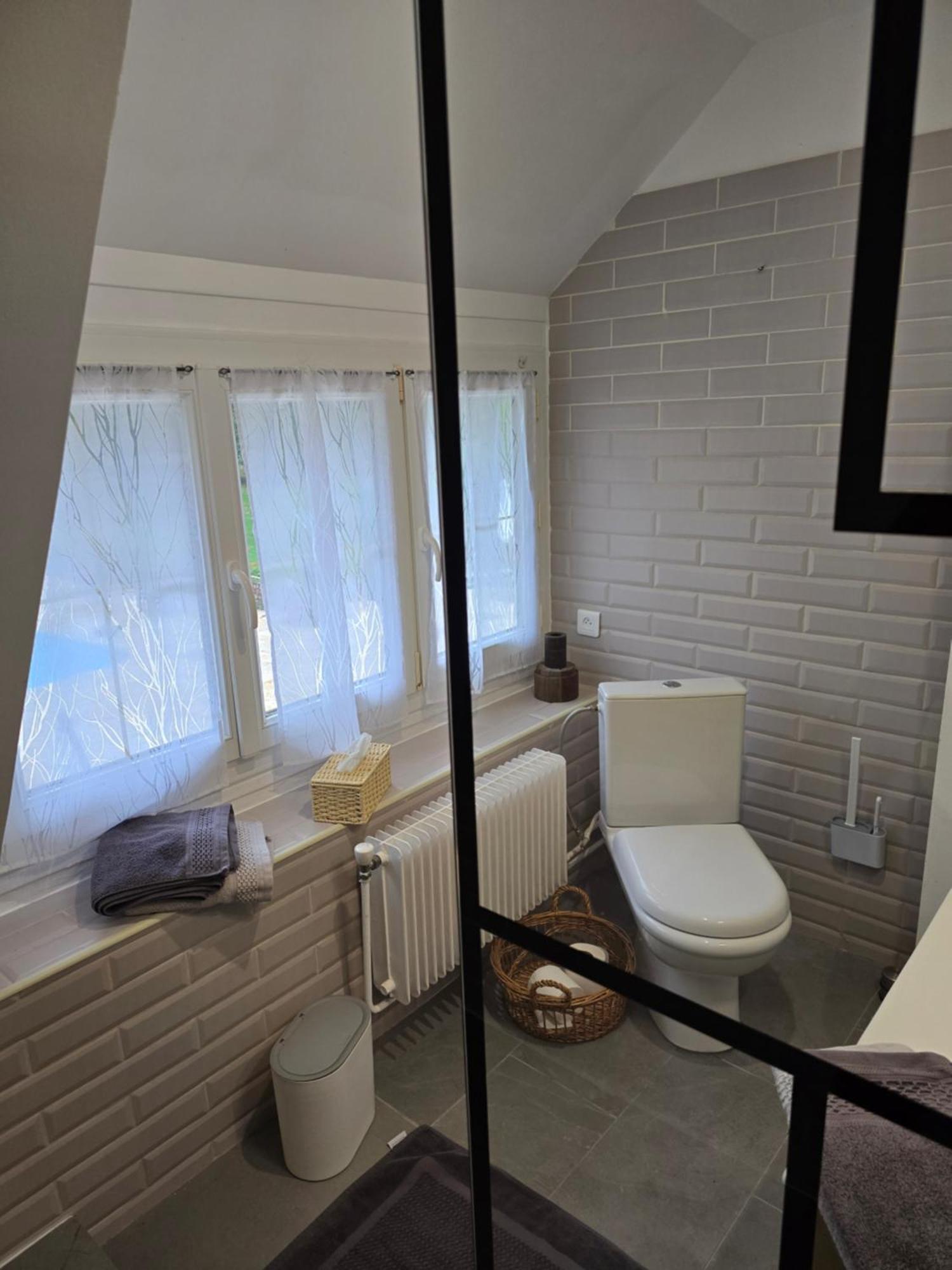 Domaine Des Bruns Bed & Breakfast Châtillon-Coligny Екстериор снимка